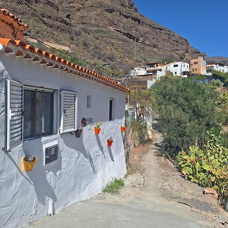Casa Rural Los Pinares El Juncal De Tejeda Eksteriør billede