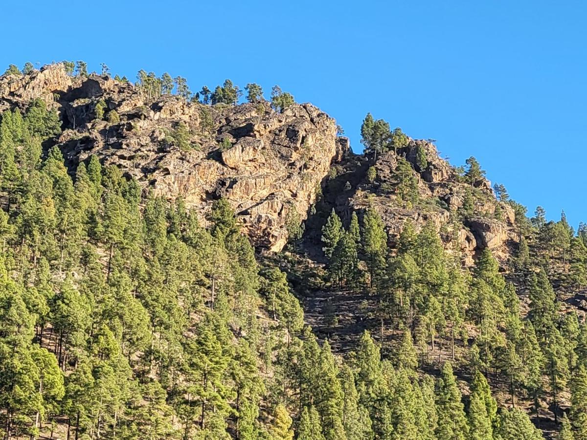 Casa Rural Los Pinares El Juncal De Tejeda Eksteriør billede