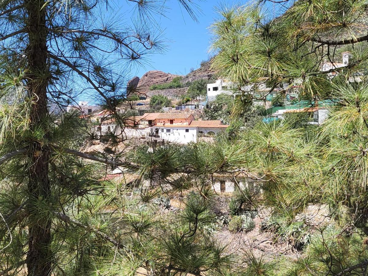 Casa Rural Los Pinares El Juncal De Tejeda Eksteriør billede