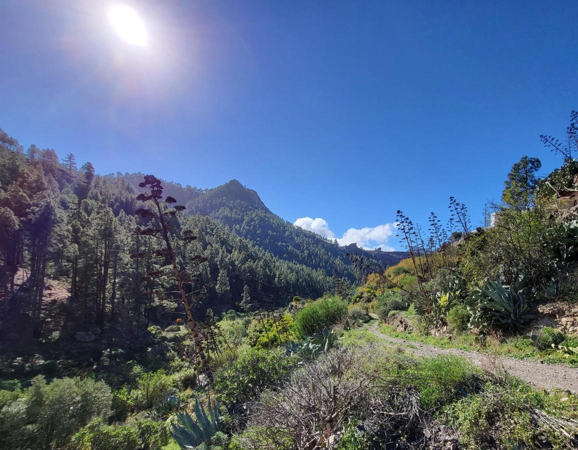 Casa Rural Los Pinares El Juncal De Tejeda Eksteriør billede