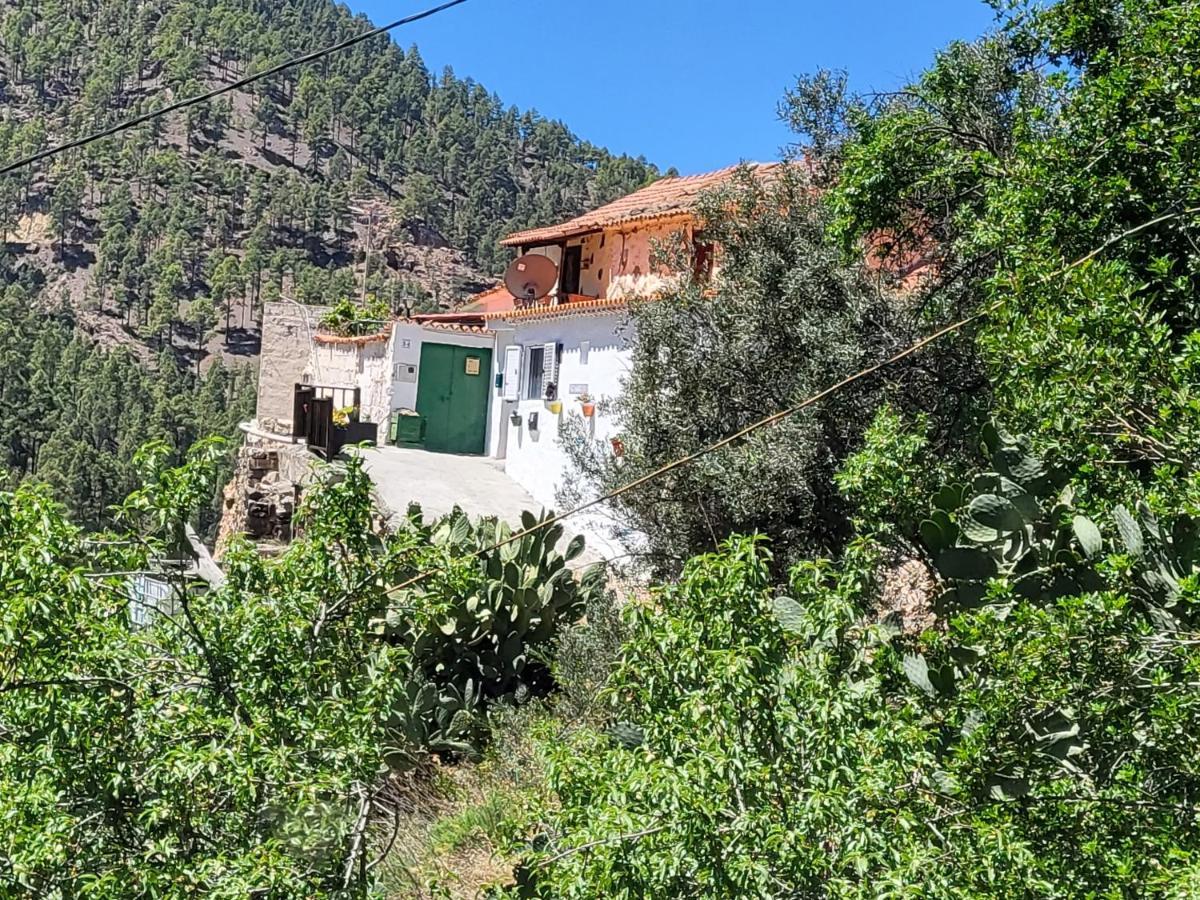 Casa Rural Los Pinares El Juncal De Tejeda Eksteriør billede