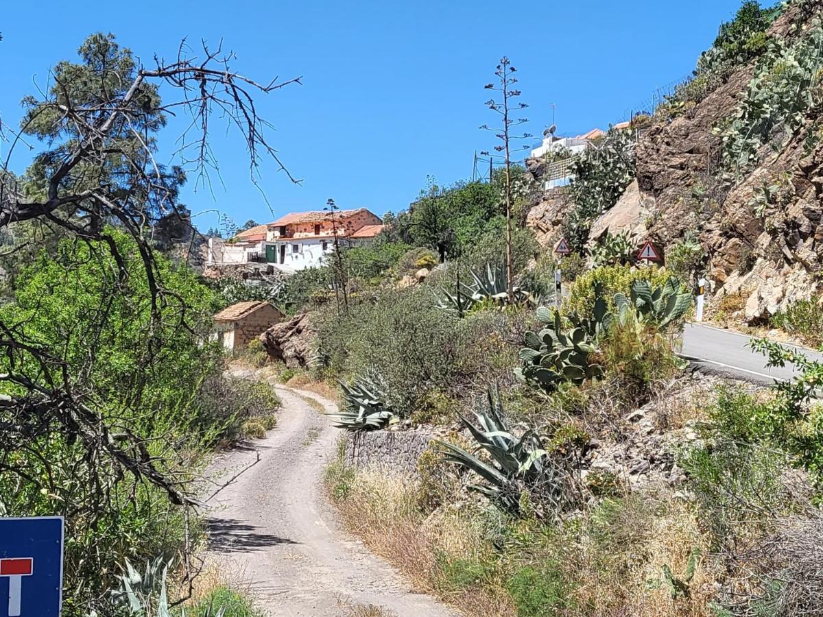 Casa Rural Los Pinares El Juncal De Tejeda Eksteriør billede