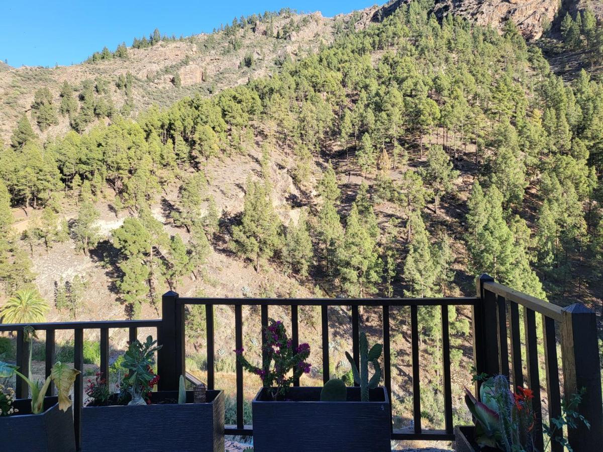 Casa Rural Los Pinares El Juncal De Tejeda Eksteriør billede