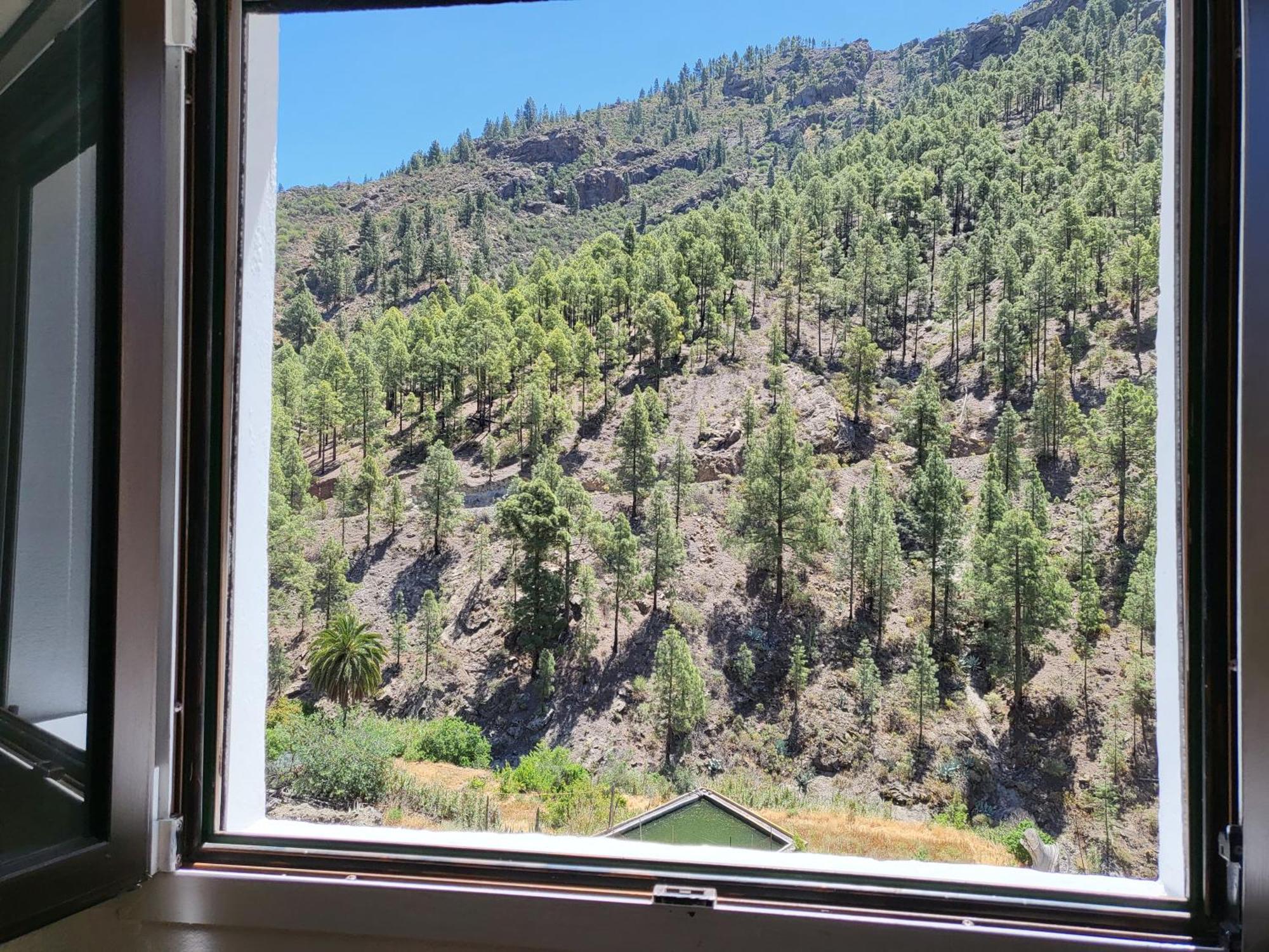 Casa Rural Los Pinares El Juncal De Tejeda Eksteriør billede